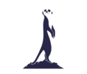 Atelier Suricate